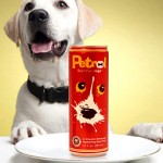 Red Bull for Dogs?  Not Exactly…