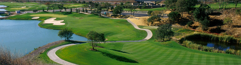 16+ Stonetree Golf Club Novato