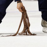 Don’t Do It!  A Hockey Tradition Gets Squashed…