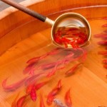 Goldfish:  An Amazing Artist Rendering…