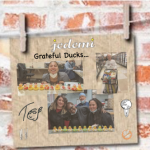 Grateful Ducks — A TC Ponderable…