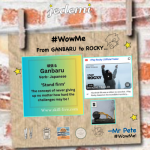 WowMe: From GANBARU to ROCKY…